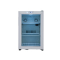 Home stainless steel 66l beauty portable mini fridge